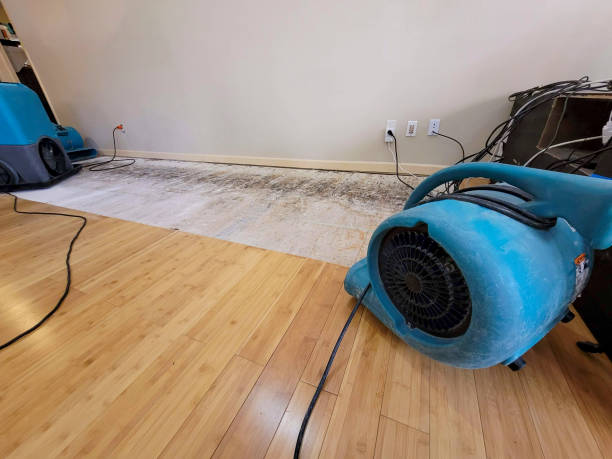 Professional Structural Drying technician working in Losantville, IN